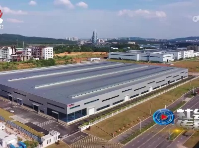 社会传真20230808 增创开放优势 厚植发展动能