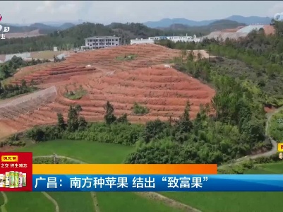 新闻晚高峰20230802