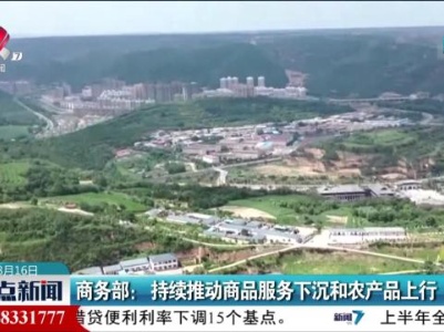整点新闻20230816 16:00