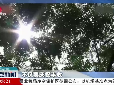 【今日立秋】咬秋晒秋贴秋膘 齐盼丰年好收成