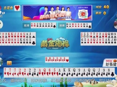 谁是赢家20230825