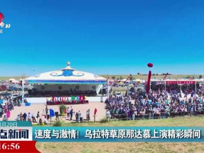 整点新闻20230820 12:00