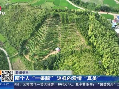 都市现场·午间版20230823
