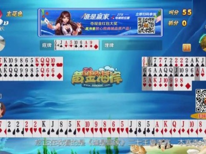 谁是赢家20230824
