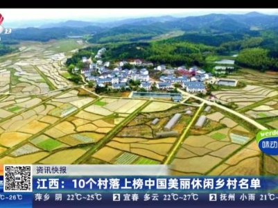 都市现场20230828