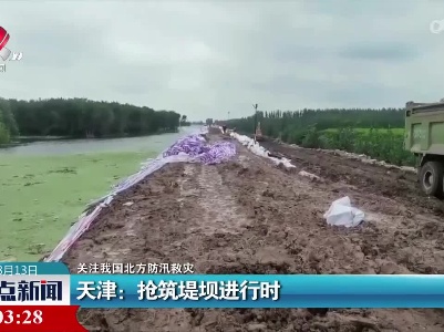 整点新闻20230812 14:00