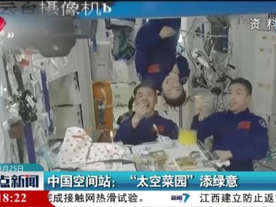 中国空间站：“太空菜园”添绿意