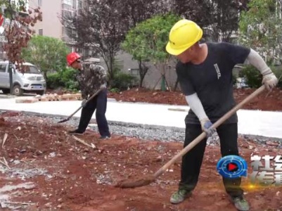 社会传真20230824 城市“增绿添色”生活“幸福加码”