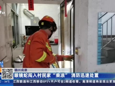 赣州南康：眼镜蛇闯入村民家“乘凉” 消防迅速处置
