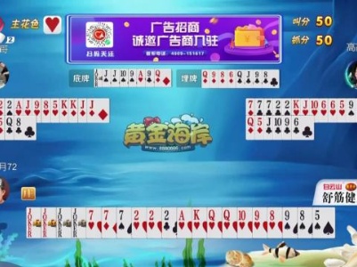 谁是赢家20230822