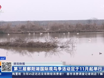 第三届鄱阳湖国际观鸟季活动定于11月起举行