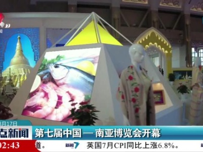 第七届中国—南亚博览会开幕