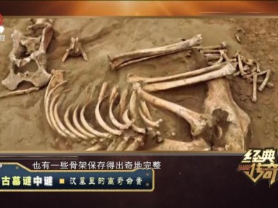 经典传奇20230818 古墓谜中谜·汉墓里的离奇命案