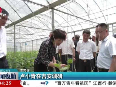 卢小青在吉安调研