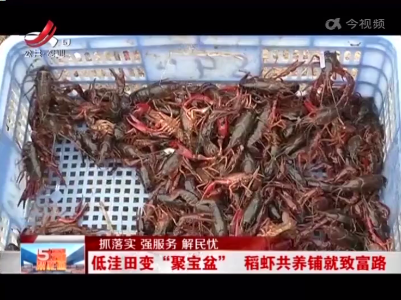 五哥帮忙团20220709