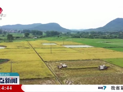 整点新闻20230804 14:00