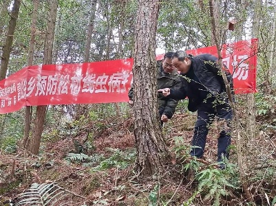 【三比三争】陈秋荣：用平凡与坚守铸就不平凡业绩的“最美森林医生”
