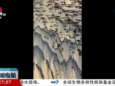 广西北海：海浪绘出千里江山图