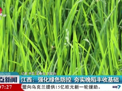 江西：强化绿色防控 夯实晚稻丰收基础