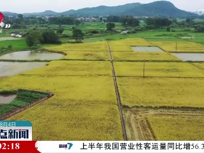 整点新闻20230804 16:00
