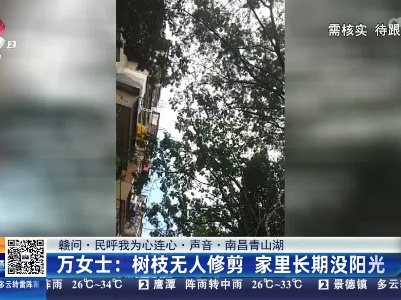 【赣问·民呼我为心连心·声音·南昌青山湖】万女士：树枝无人修剪 家里长期没阳光