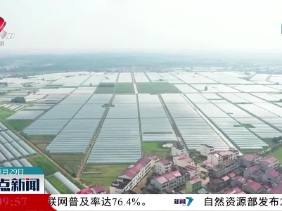 整点新闻20230829 10:00