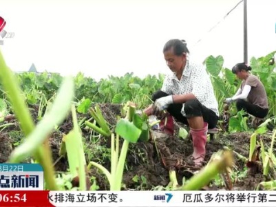 整点新闻20230822 10:00