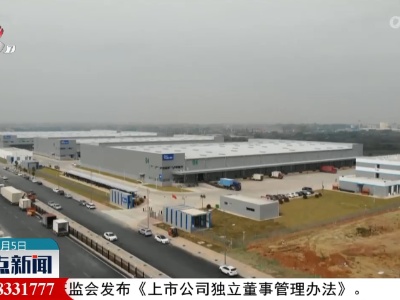 整点新闻20230805 12:00