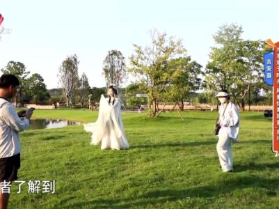地宝当家20230817