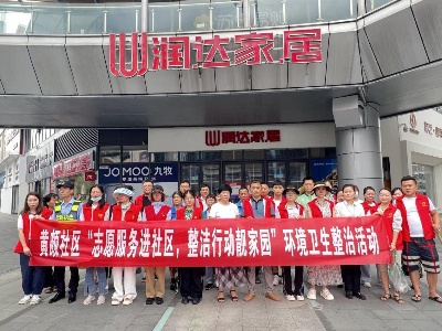 宜春市袁州区凤凰街道：志愿服务进社区 整洁行动靓家园
