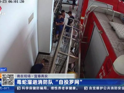 【救在现场】宜春高安：毒蛇溜进消防队“自投罗网”