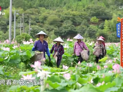 地宝当家20230811