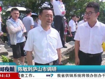 陈敏到庐山市调研