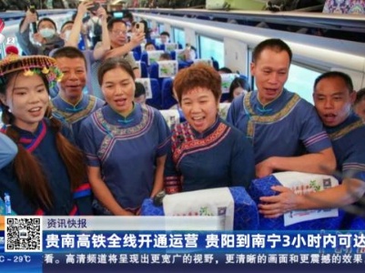 贵南高铁全线开通运营 贵阳到南宁3小时内可达