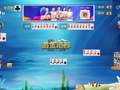 谁是赢家20230808