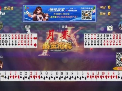 谁是赢家20230828