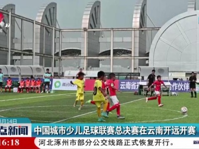 整点新闻20230814 16:00