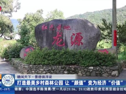 【赣闻天下】景德镇浮梁：打造最美乡村森林公园 让“颜值”变为经济“价值”