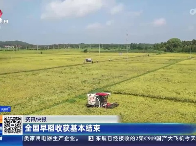都市现场20230804