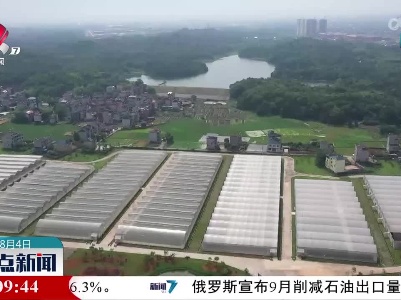 乐平：科技助力 “江南菜乡”菜更“香”