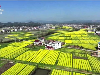 新闻晚高峰20230829