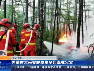 内蒙古大兴安岭发生多起森林火灾