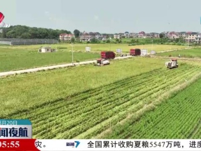 新闻夜航20230820