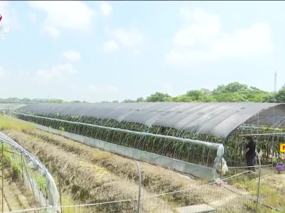 新闻晚高峰20230807