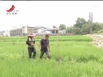 五哥帮忙团20220910