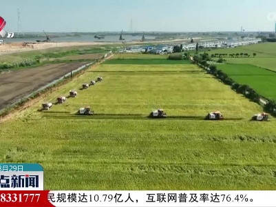 整点新闻20230829 12:00