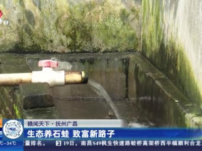【赣闻天下】抚州广昌：生态养石蛙 致富新路子