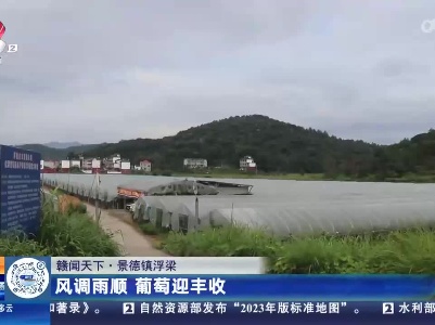 都市现场·午间版20230829