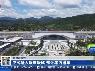 都市现场20230825