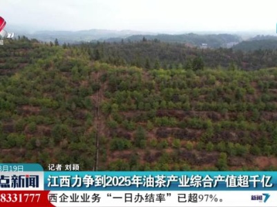 江西力争到2025年油茶产业综合产值超千亿